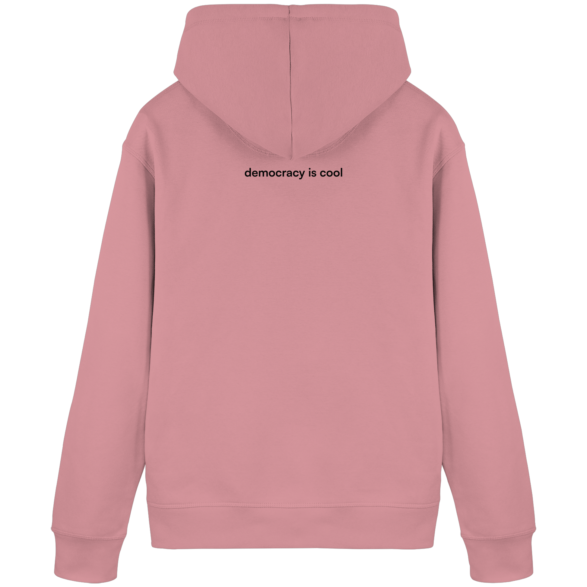 dont be a fool - Organic Basic Hoodie